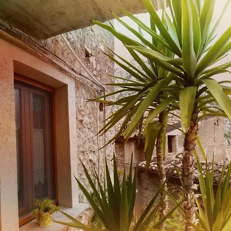 Dhafna 3* Civita