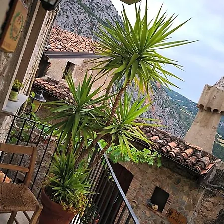 Bed & Breakfast Dhafna 3*