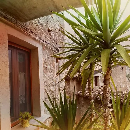Dhafna Bed & Breakfast *