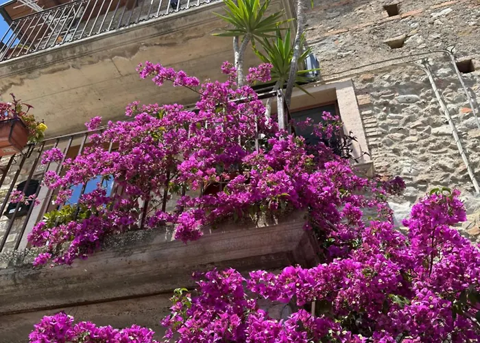 Dhafna Frühstückspension Civita