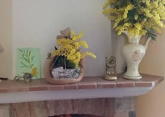 Dhafna Frühstückspension Civita