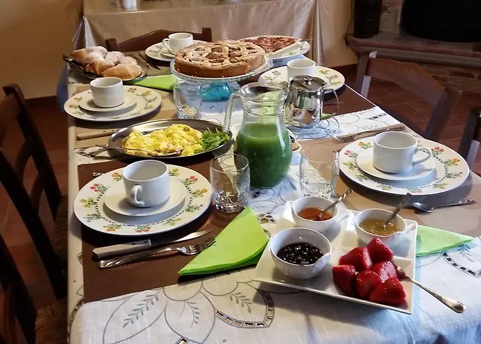 Dhafna צ'יוויטה