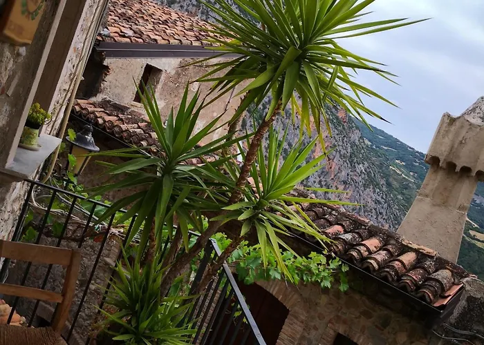 Dhafna לינה וארוחת בוקר