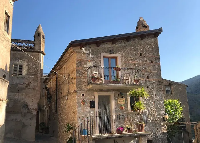 Dhafna צ'יוויטה